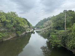 -阿元烧鹅(文明路店)