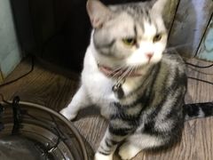 -小时光咖啡馆(开森度假森林店)
