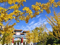 -迎泽公园