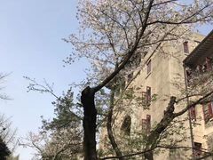 -武汉大学-樱园