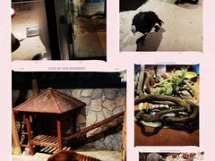-绿色星球动物主题公园