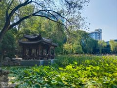 -莲湖公园