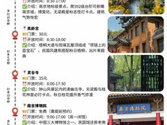 -好一朵茉莉花(老门东店)