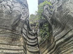 -梭布垭石林景区