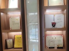 -北京派仕佳德动物医院·超导核磁·CT·神经科·骨科·内外科·急重症管理中心