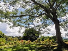 -中国科学院西双版纳热带植物园