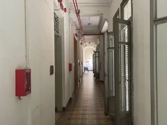-胡志明市美术馆