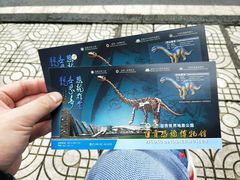 -自贡恐龙博物馆