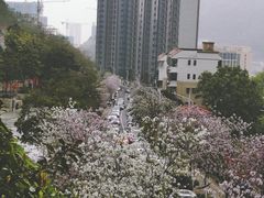 -小南山公园