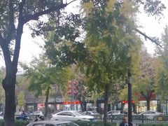 -一记洛阳菜·糖醋小排·水席(十字街店)