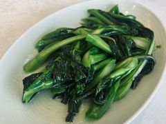 -欢乐海岸美食联盟