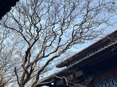 -都江堰景区