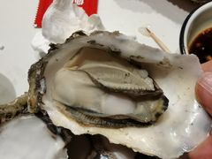 -蚝翅·海鲜粥·烧烤·宁夏滩羊季(玉米楼店)