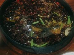 老板恋上鱼-老板恋上鱼(振华商厦店)