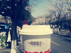 -鸡鸣赐茶(鸡鸣寺路店)