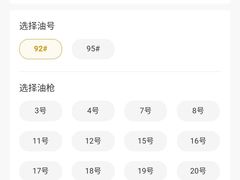 -中国石化南门石化加油站(和平中路)