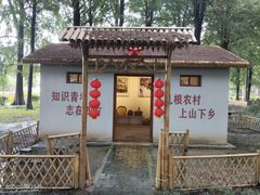 -渌洋湖湿地公园