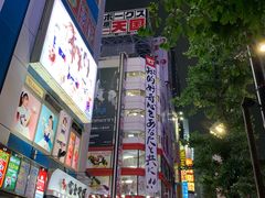 -秋叶原电器街