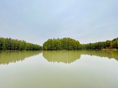 -上海海湾国家森林公园