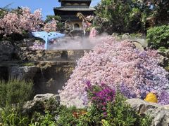 -茅山东方盐湖城景区