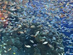 -成都浩海立方海洋公园