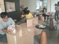 大堂-瞄一喵猫咖(格力海岸店)