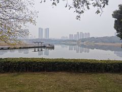 -月湖风景区