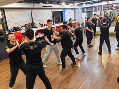 -温鉴良实用咏春拳