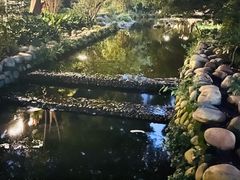 -成都市活水公园