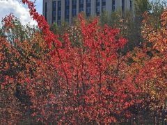 -长春世界雕塑园冰雪艺术天地