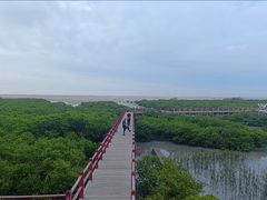 -北海金海湾红树林生态旅游区