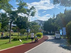 -上海长兴岛郊野公园