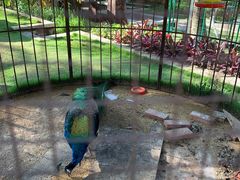 -西双版纳融创皇冠假日度假酒店