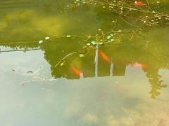 -杭越海鲜(迪荡店)