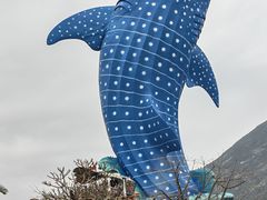 -珠海长隆海洋王国