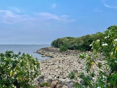 -上海吴淞炮台湾国家湿地公园
