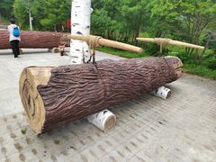 -五营红松林海景区