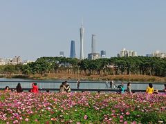 -海珠湖公园