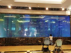 -碧桂园凤凰城酒店(南京店)