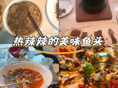 -坛宗剁椒鱼头(河西王府井店)