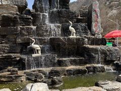 -大岭沟猕猴桃谷风景区