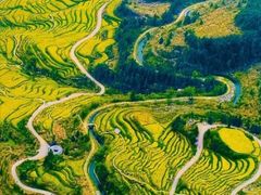 -婺源风景区