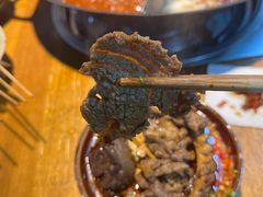 -阳阳老火锅(小南门店)