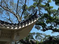 -江心屿景区