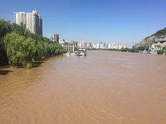 -清真老马家国华牛奶鸡蛋醪糟(正宁路店)