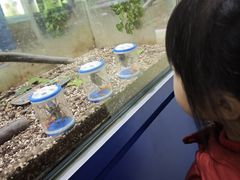 -上海昆虫博物馆