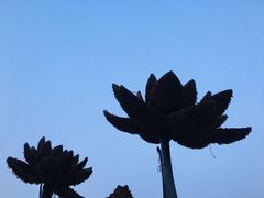 -莲花池公园