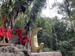 -七仙岭温泉国家森林公园