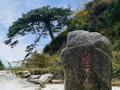 -泰山风景名胜区