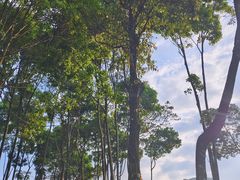 -广州市石门国家森林公园